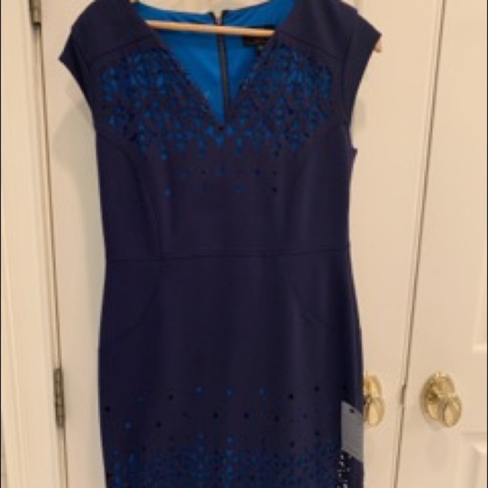 Laundry Dress Size 10 P